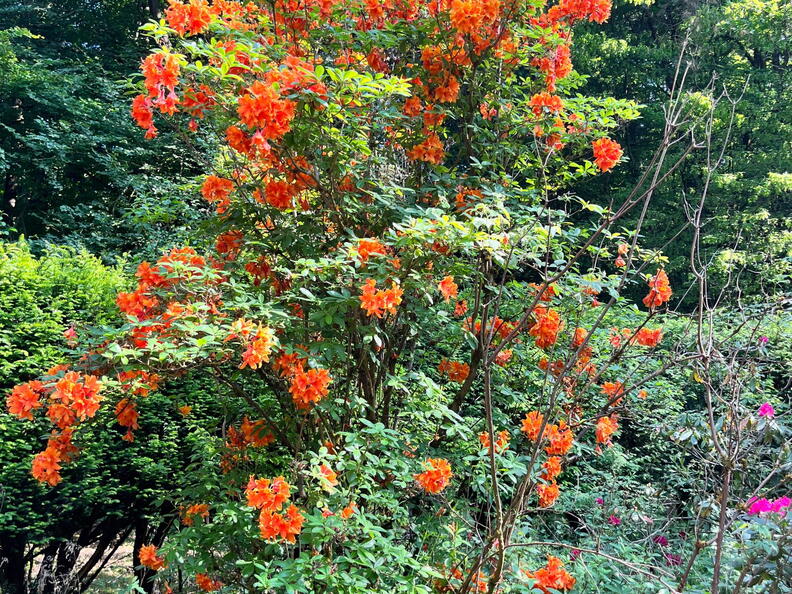 23-06-03 16-51-14 5802